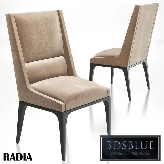 AXIS – radia dining chair 3DS Max - thumbnail 3