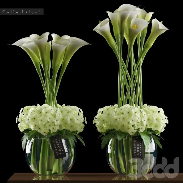 PLANT 3D MODELS – FLOWER 3D MODELS – 018