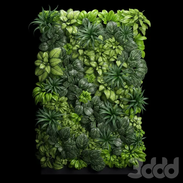 PLANT 3D MODELS – FLOWER 3D MODELS – 188