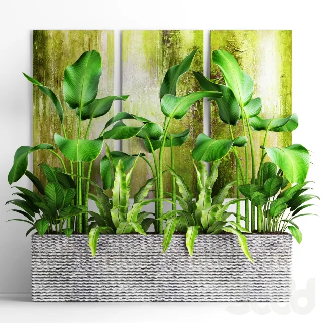 PLANT 3D MODELS – FLOWER 3D MODELS – 003