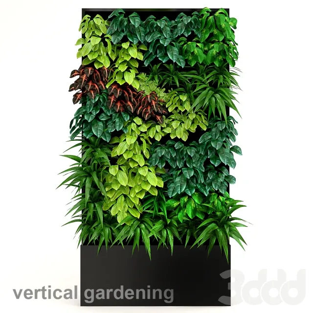 PLANT 3D MODELS – FLOWER 3D MODELS – 205