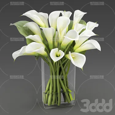 PLANT 3D MODELS – FLOWER 3D MODELS – 219