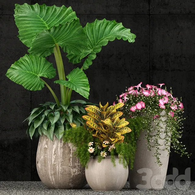 PLANT 3D MODELS – FLOWER 3D MODELS – 024