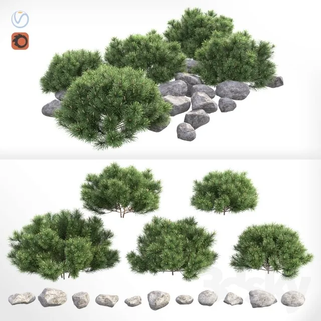 PLANT 3D MODELS – FLOWER 3D MODELS – 026