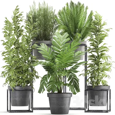 PLANT 3D MODELS – FLOWER 3D MODELS – 261