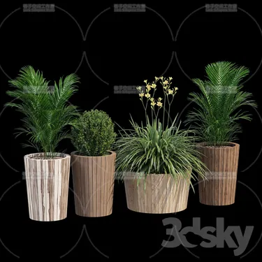 PLANT 3D MODELS – FLOWER 3D MODELS – 358