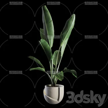 PLANT 3D MODELS – FLOWER 3D MODELS – 373