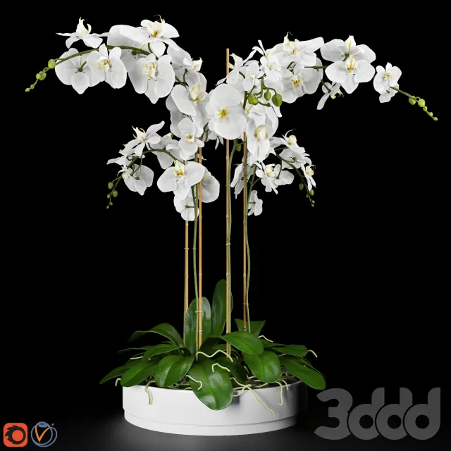 PLANT 3D MODELS – FLOWER 3D MODELS – 445