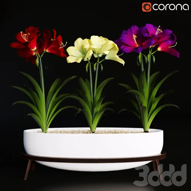 PLANT 3D MODELS – FLOWER 3D MODELS – 449