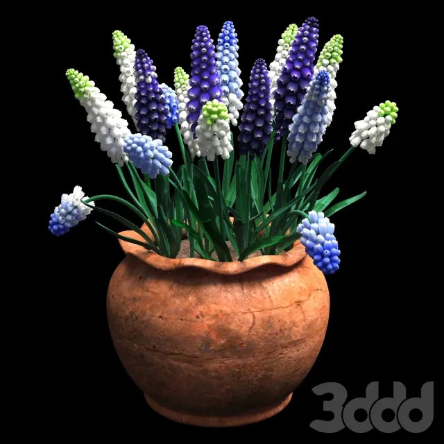 PLANT 3D MODELS – FLOWER 3D MODELS – 462