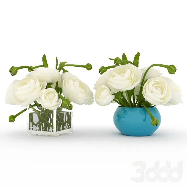 PLANT 3D MODELS – FLOWER 3D MODELS – 465