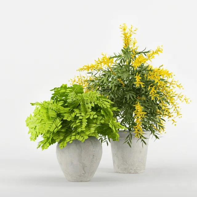 PLANT 3D MODELS – FLOWER 3D MODELS – 494