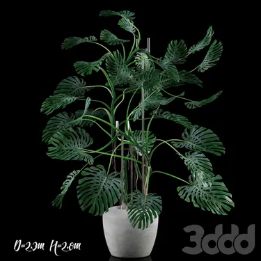 PLANT 3D MODELS – FLOWER 3D MODELS – 499