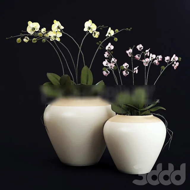 PLANT 3D MODELS – FLOWER 3D MODELS – 502