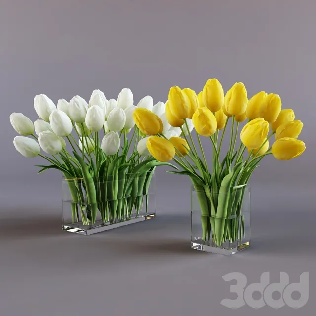 PLANT 3D MODELS – FLOWER 3D MODELS – 509