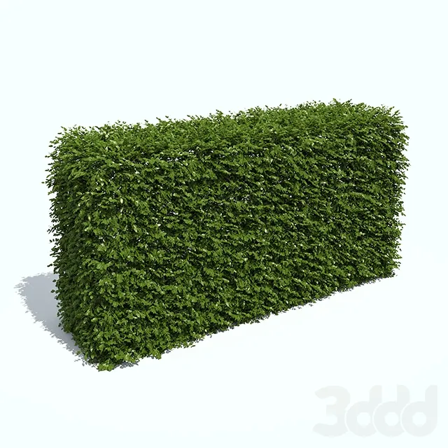 PLANT 3D MODELS – FLOWER 3D MODELS – 519
