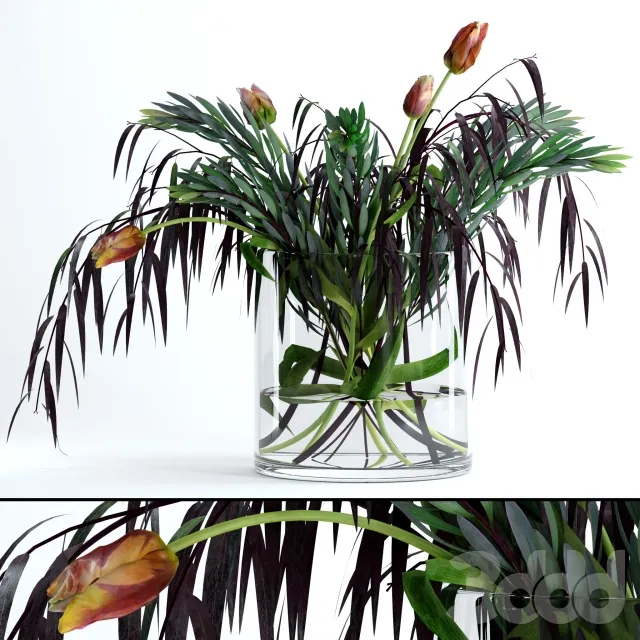PLANT 3D MODELS – FLOWER 3D MODELS – 542