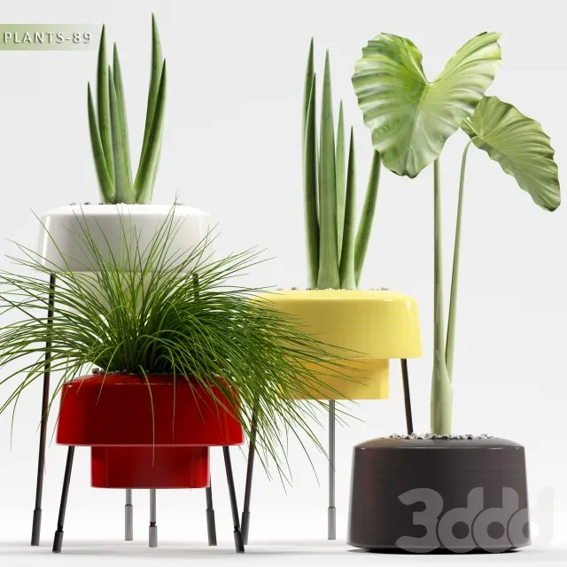 PLANT 3D MODELS – FLOWER 3D MODELS – 548