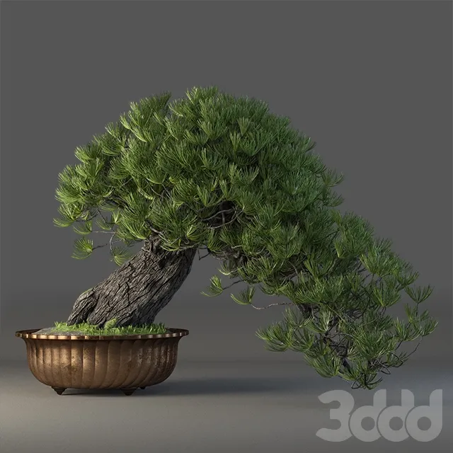 PLANT 3D MODELS – FLOWER 3D MODELS – 552