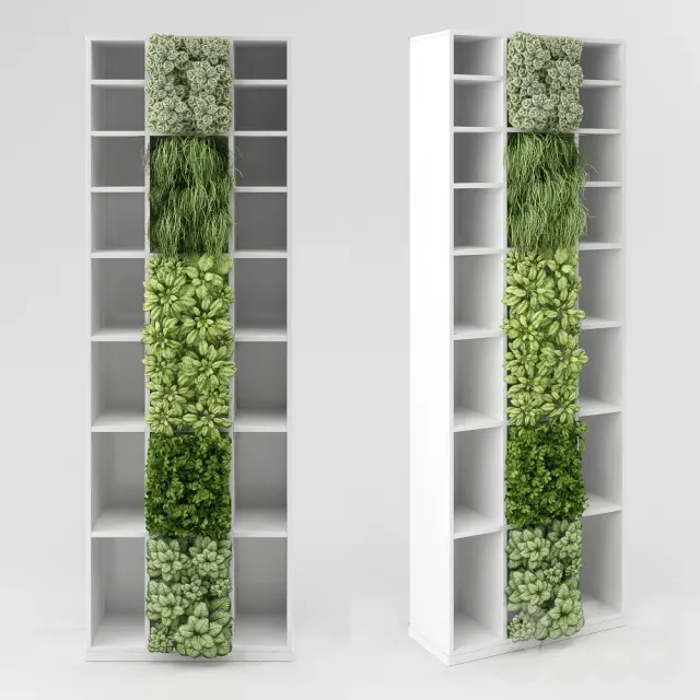 PLANT 3D MODELS – FLOWER 3D MODELS – 555