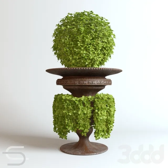 PLANT 3D MODELS – FLOWER 3D MODELS – 565