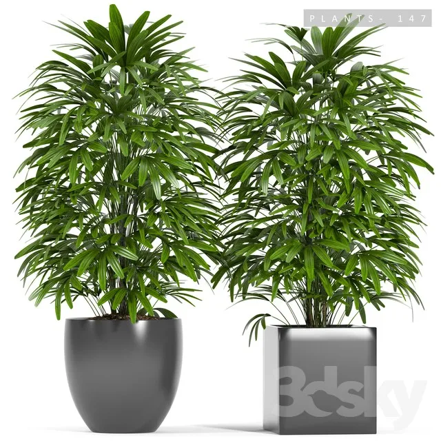 PLANT 3D MODELS – FLOWER 3D MODELS – 073