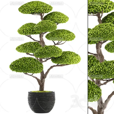 PLANT 3D MODELS – FLOWER 3D MODELS – 080
