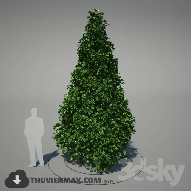 3DSKY PRO MODELS – 628