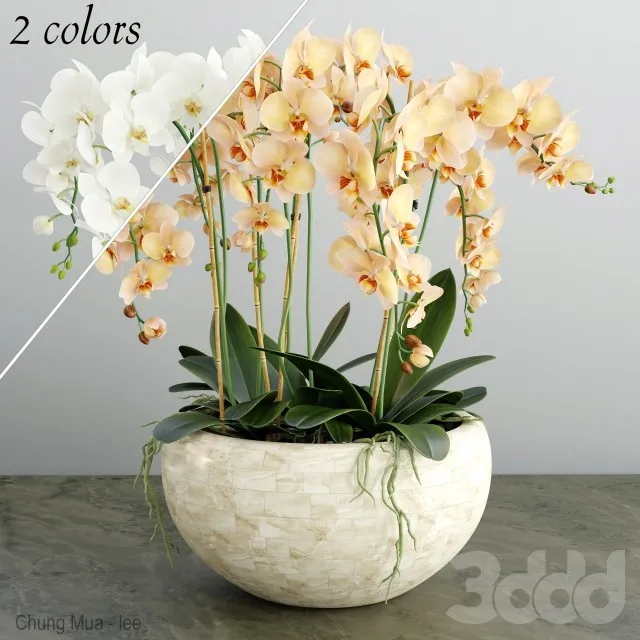 DECOR HELPER – DECOR – FLOWER 3D MODELS – 89
