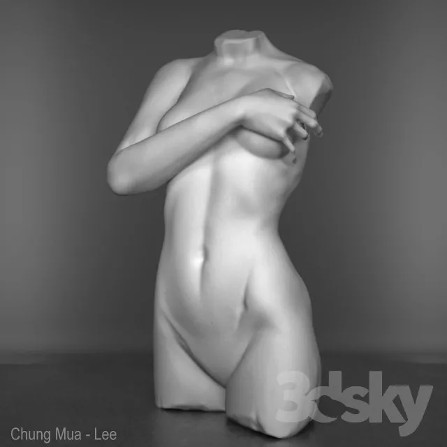 The torso of a female figure 3DS Max - thumbnail 3