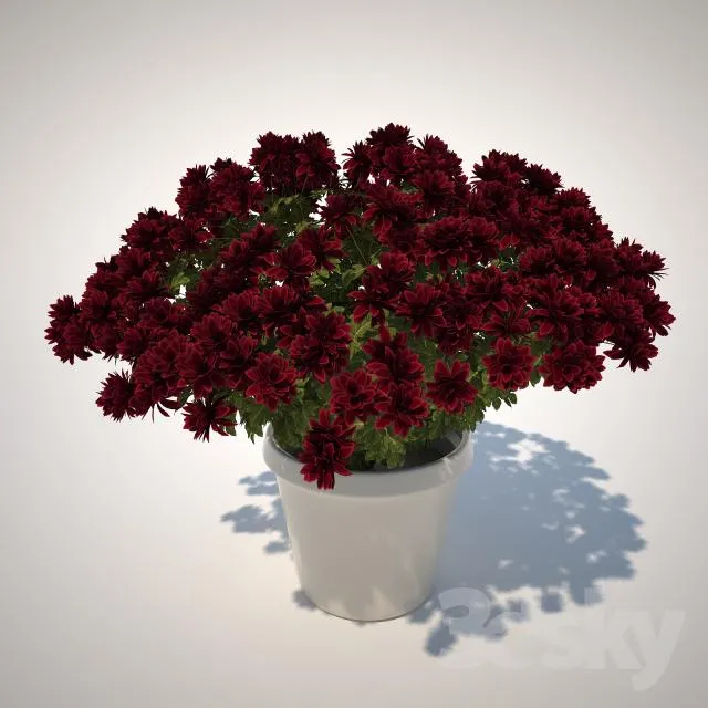 FLOWER – PLANT 3D MODELS – 118