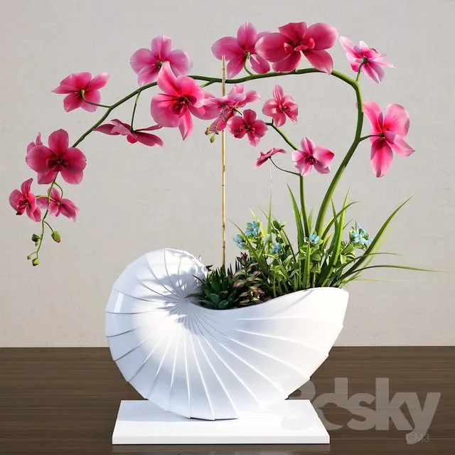 FLOWER – PLANT 3D MODELS – 156