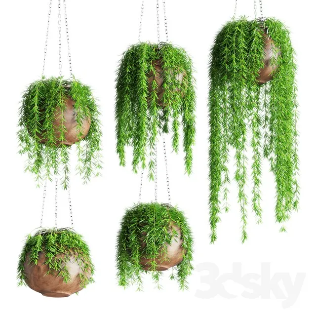 Hanging plants in pots 3DS Max - thumbnail 3