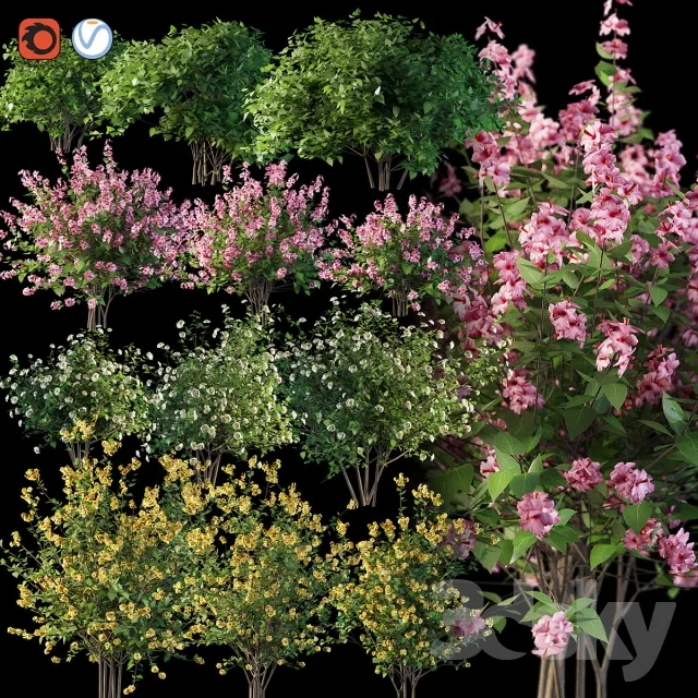 Set flowering shrubs 4 3DS Max - thumbnail 3