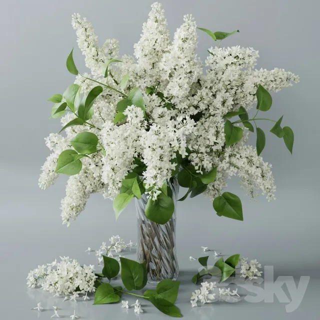 FLOWER – PLANT 3D MODELS – 035