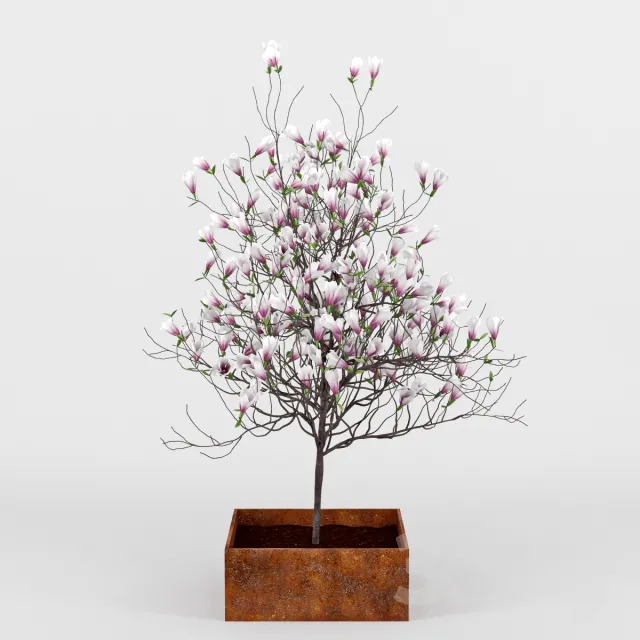 FLOWER – PLANT 3D MODELS – 360