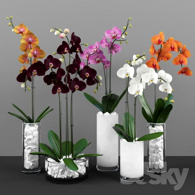 FLOWER – PLANT 3D MODELS – 361