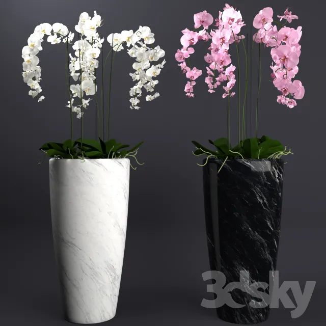FLOWER – PLANT 3D MODELS – 048