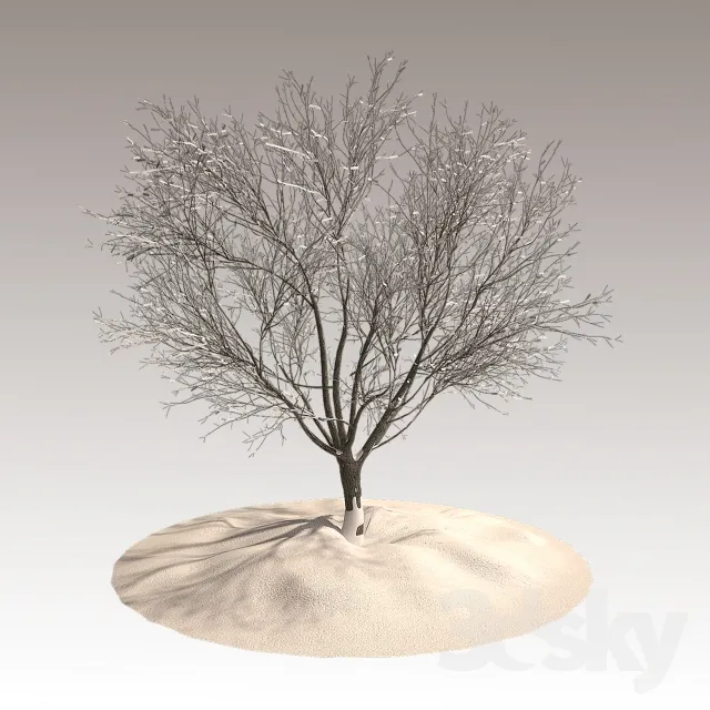Tree in winter 3DS Max - thumbnail 3