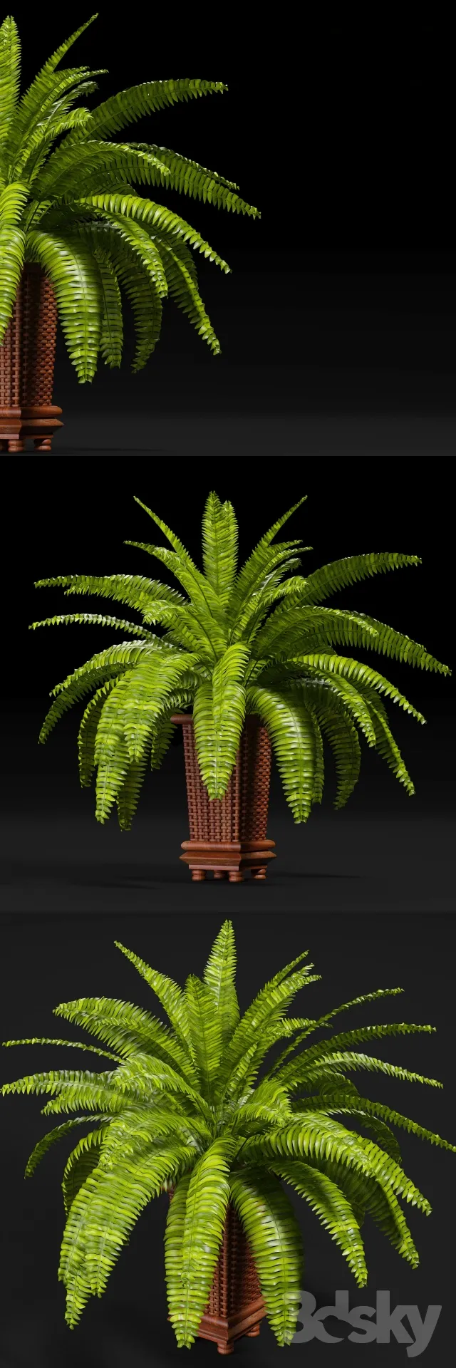 FLOWER – PLANT 3D MODELS – 499