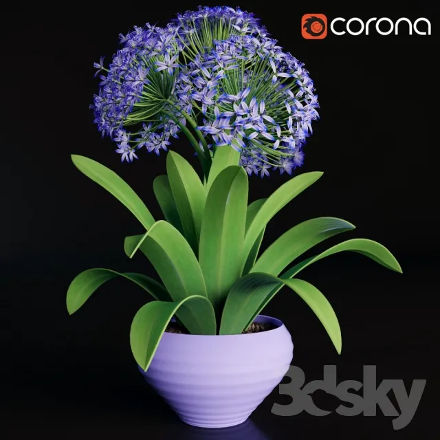 FLOWER – PLANT 3D MODELS – 563