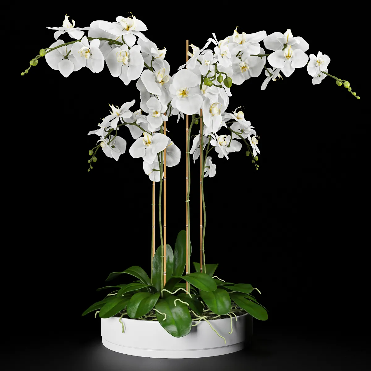 FLOWER – PLANT 3D MODELS – 580