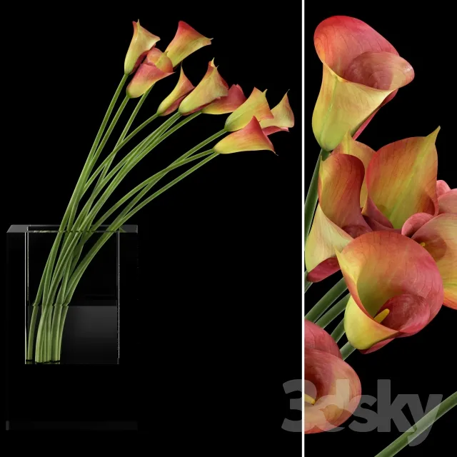 FLOWER – PLANT 3D MODELS – 729