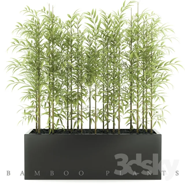 FLOWER – PLANT 3D MODELS – 733