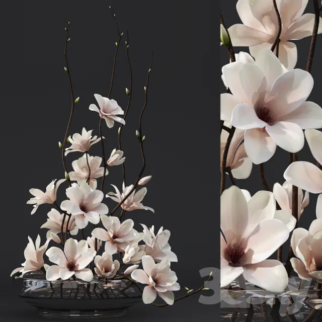 FLOWER – PLANT 3D MODELS – 745