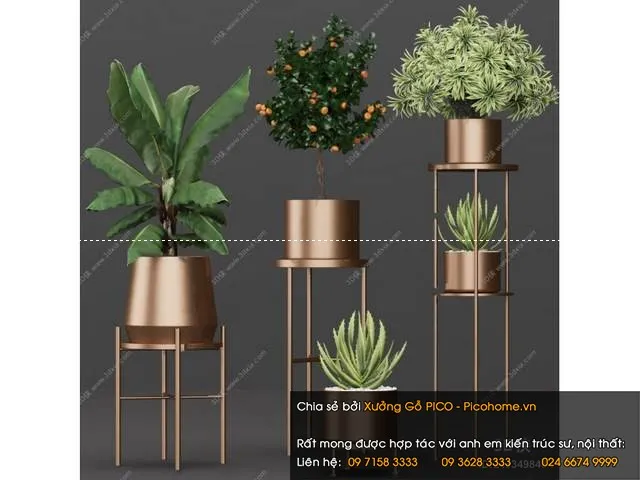 FLOWER – PLANT 3D MODELS – 891