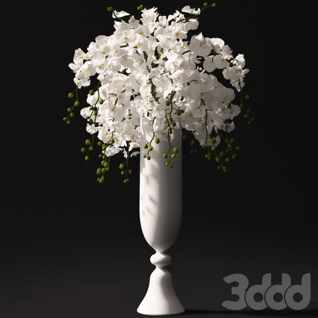 FLOWER – PLANT 3D MODELS – 895
