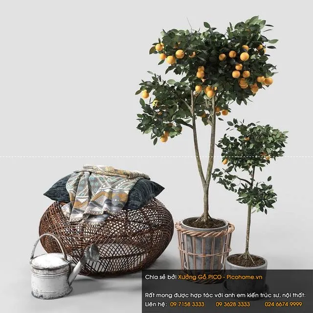 FLOWER – PLANT 3D MODELS – 969