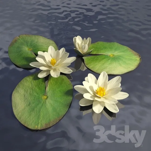 FLOWER – PLANT 3D MODELS – 992