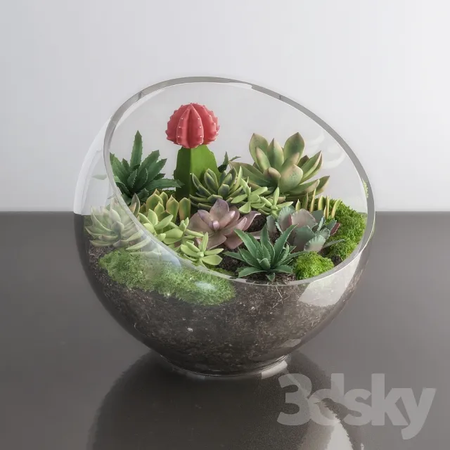 Succulents in glass bowl 3DS Max - thumbnail 3